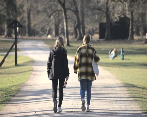 A person taking a stroll in a green local park